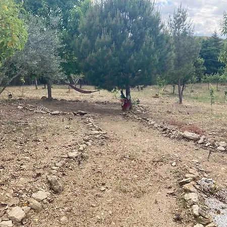 Quinta Da Libelinha - Alojamento Local *