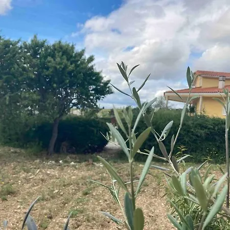 Quinta Da Libelinha - Alojamento Local 別荘 *