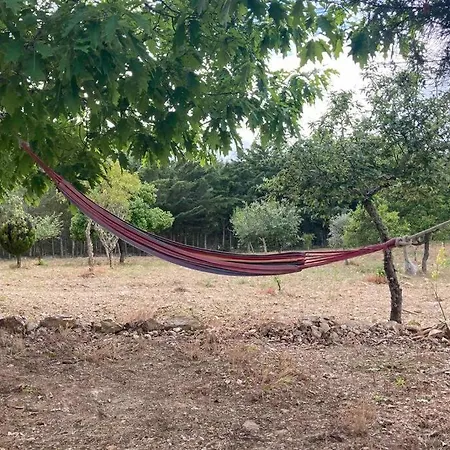 Quinta Da Libelinha - Alojamento Local 別荘 ミランデラ